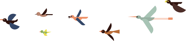 鳥のイラスト